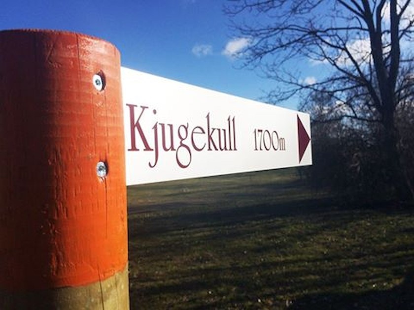 Bäckaskog Slott image 10