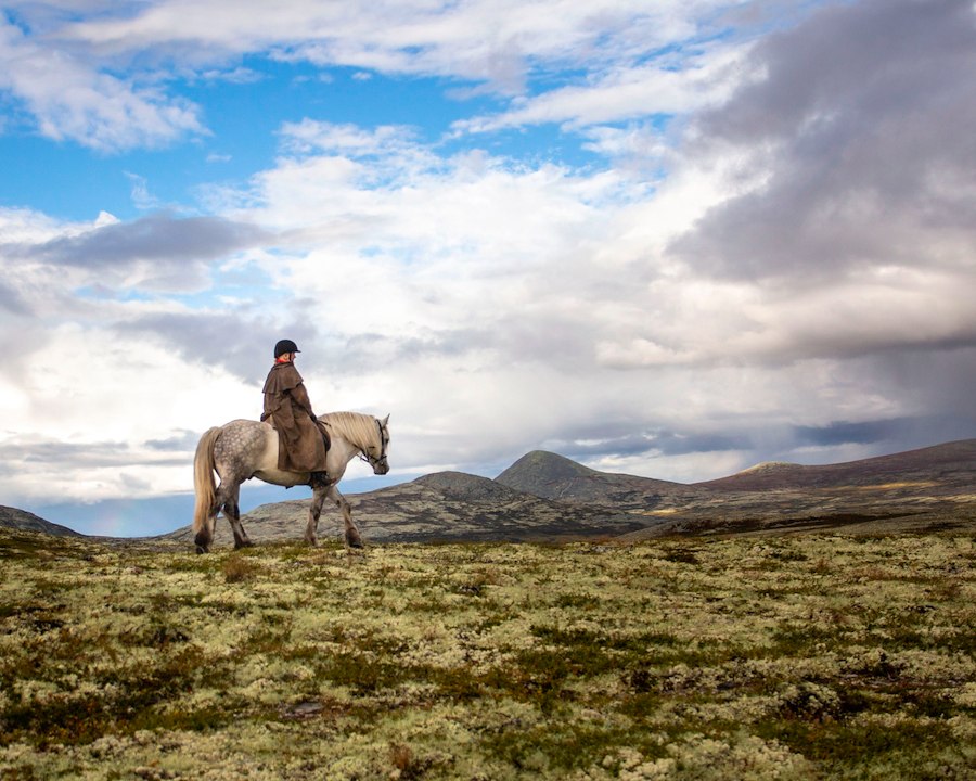 Riding holiday for experienced riders