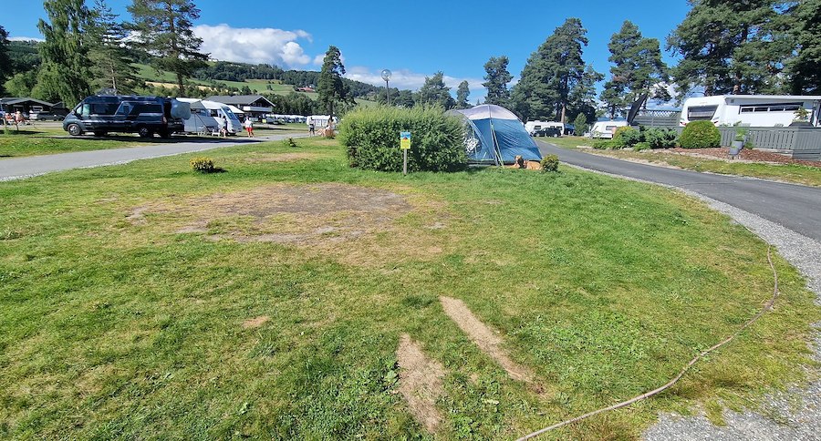 Teltplass 1