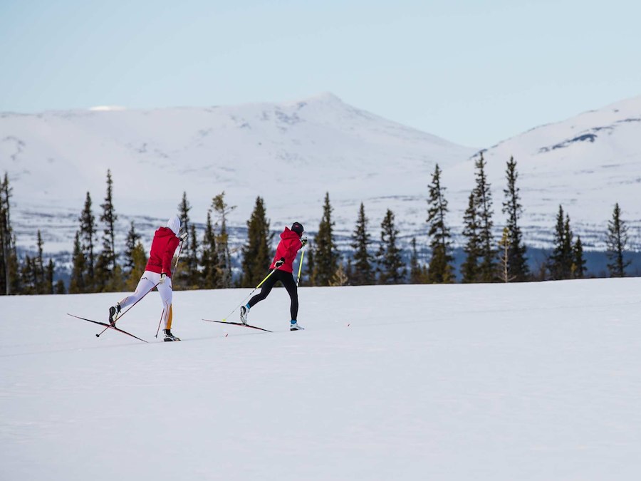 Primärbild av VASALOPPSLÄGER med Erica Johansson 6-8 februari