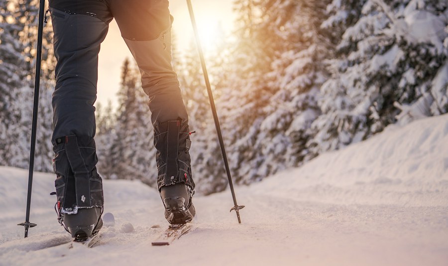 Primary image of Midweek Special - Highland Lodge