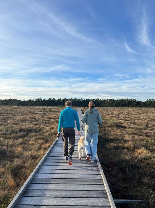 Primary image of Hike in the scenic Isaberg area