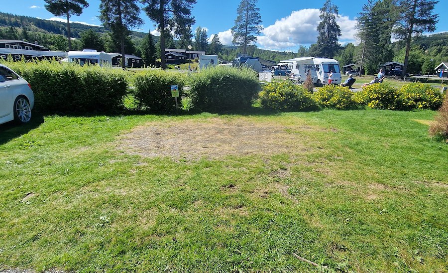 Teltplass 6