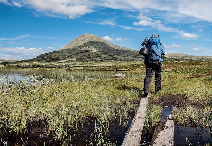 Primærbilde av Fotokurs - Sommerkurs