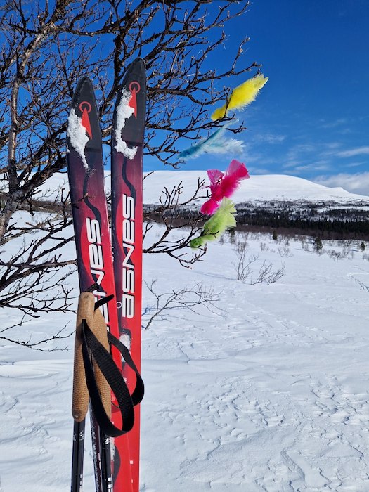 Primärbild av Påskpussar i fjällen