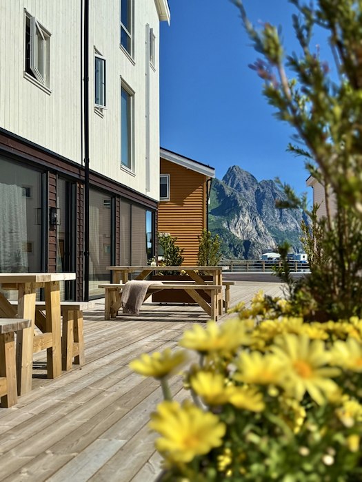 Primærbilde av Sommerkampanje -20%