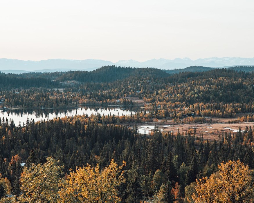 Primary image of Hike & Dine