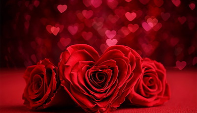 Boka Valentines Day Package