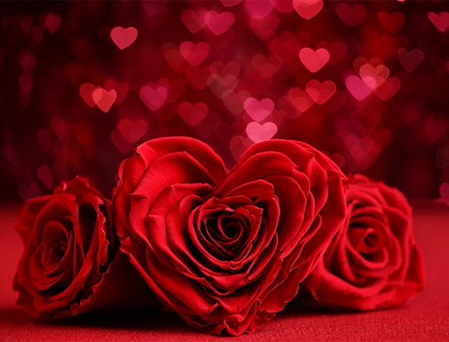 Boka Valentines Day Package på Albert Hotell