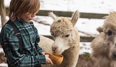 Boka Sportlov på Siggesta