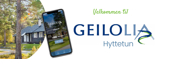 Topp-bilde Geilolia Hyttetun sommer