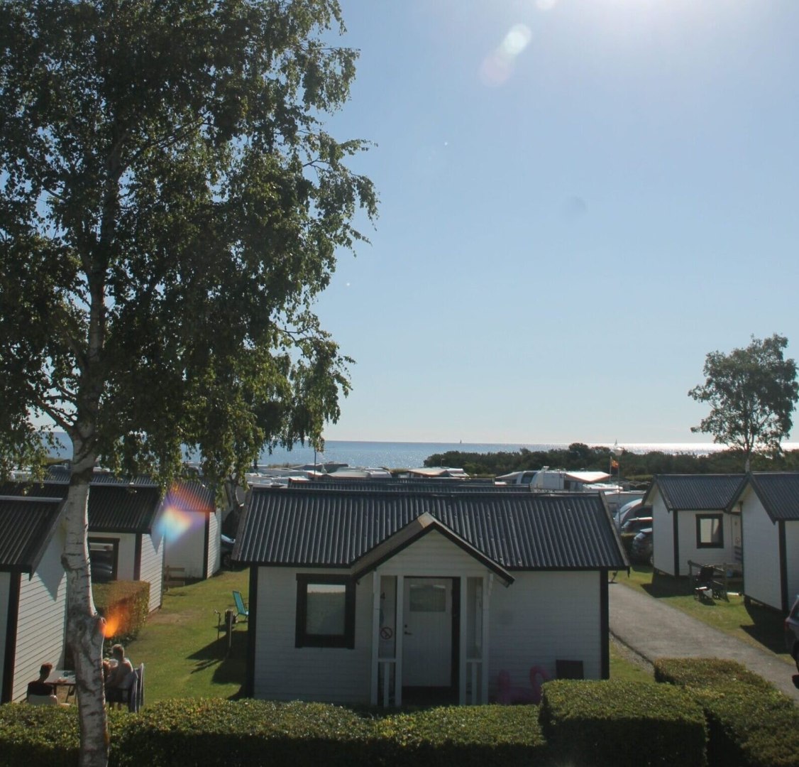 Hütte (4 Betten, WC)