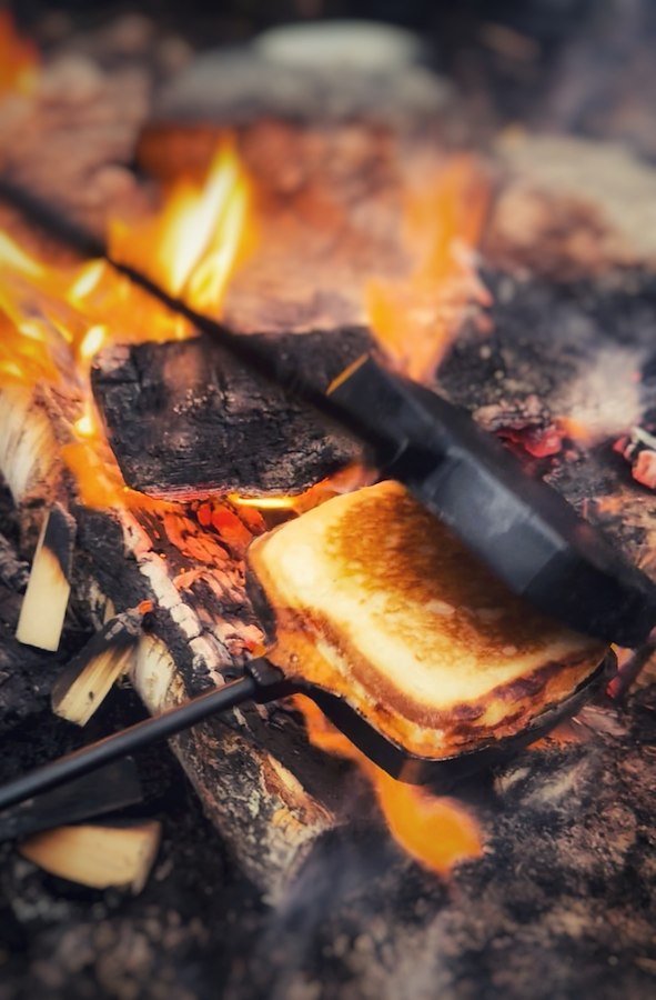 TOAST in the WILD
