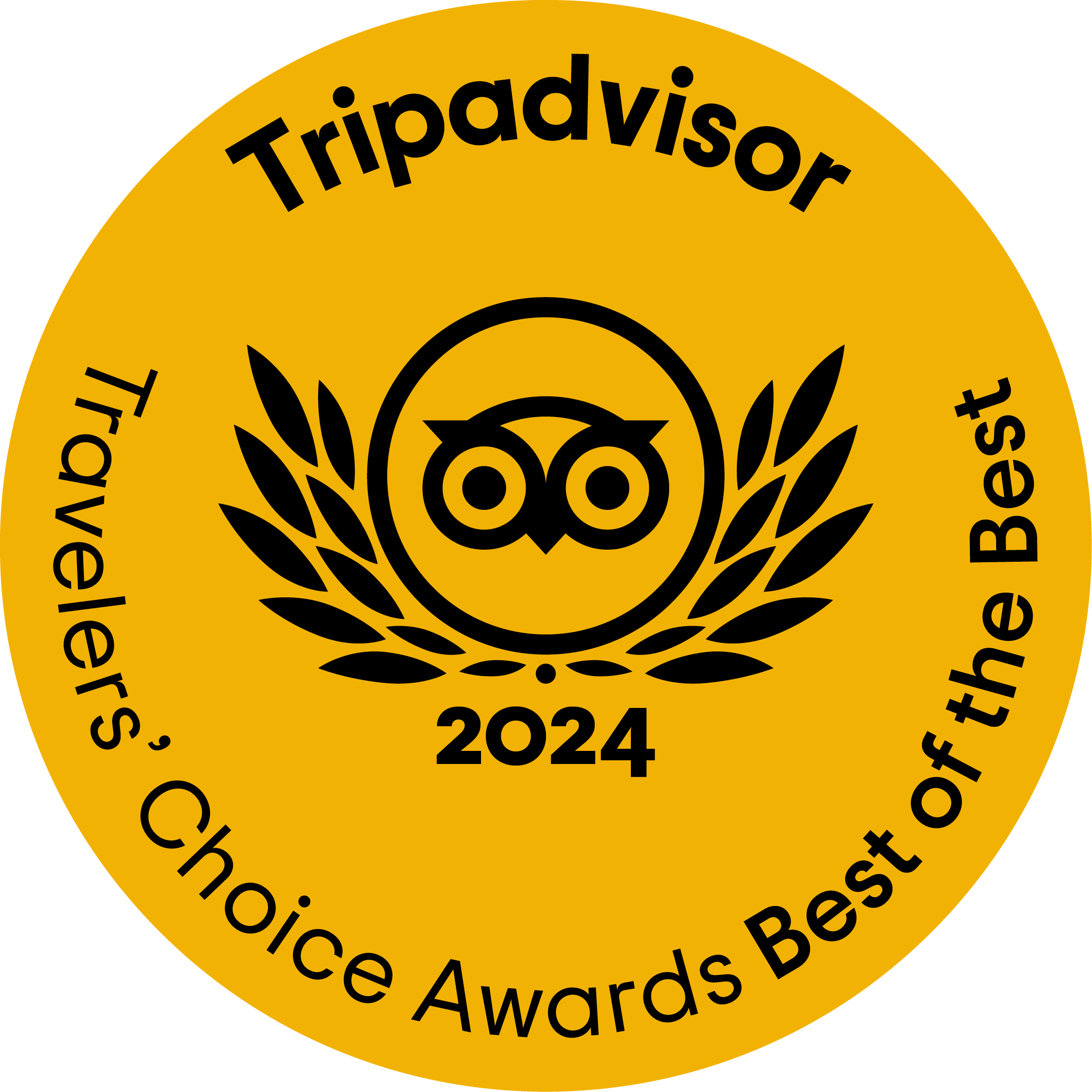 Tripadvisor best choice