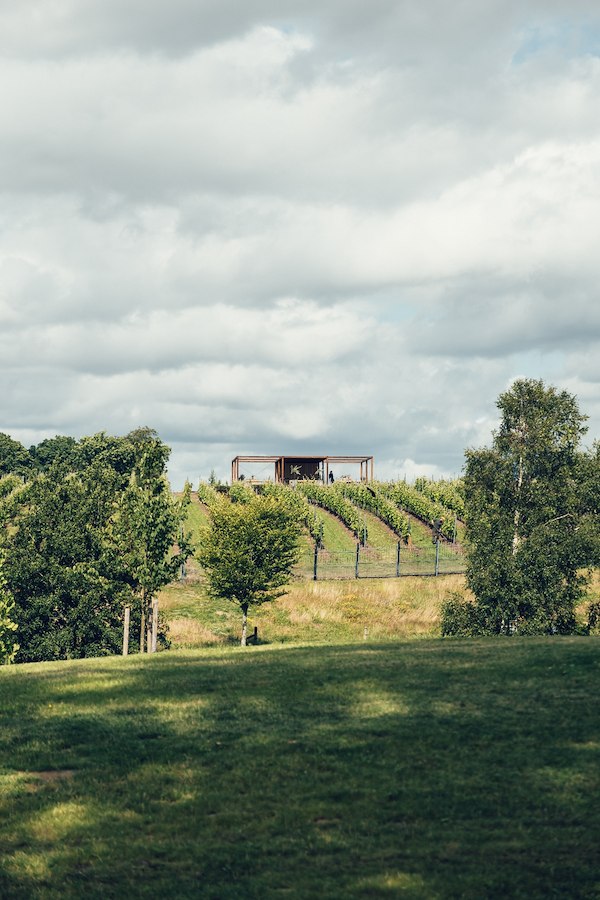 Vineyard Tour at 11:30 & Estate Wine Tasting
