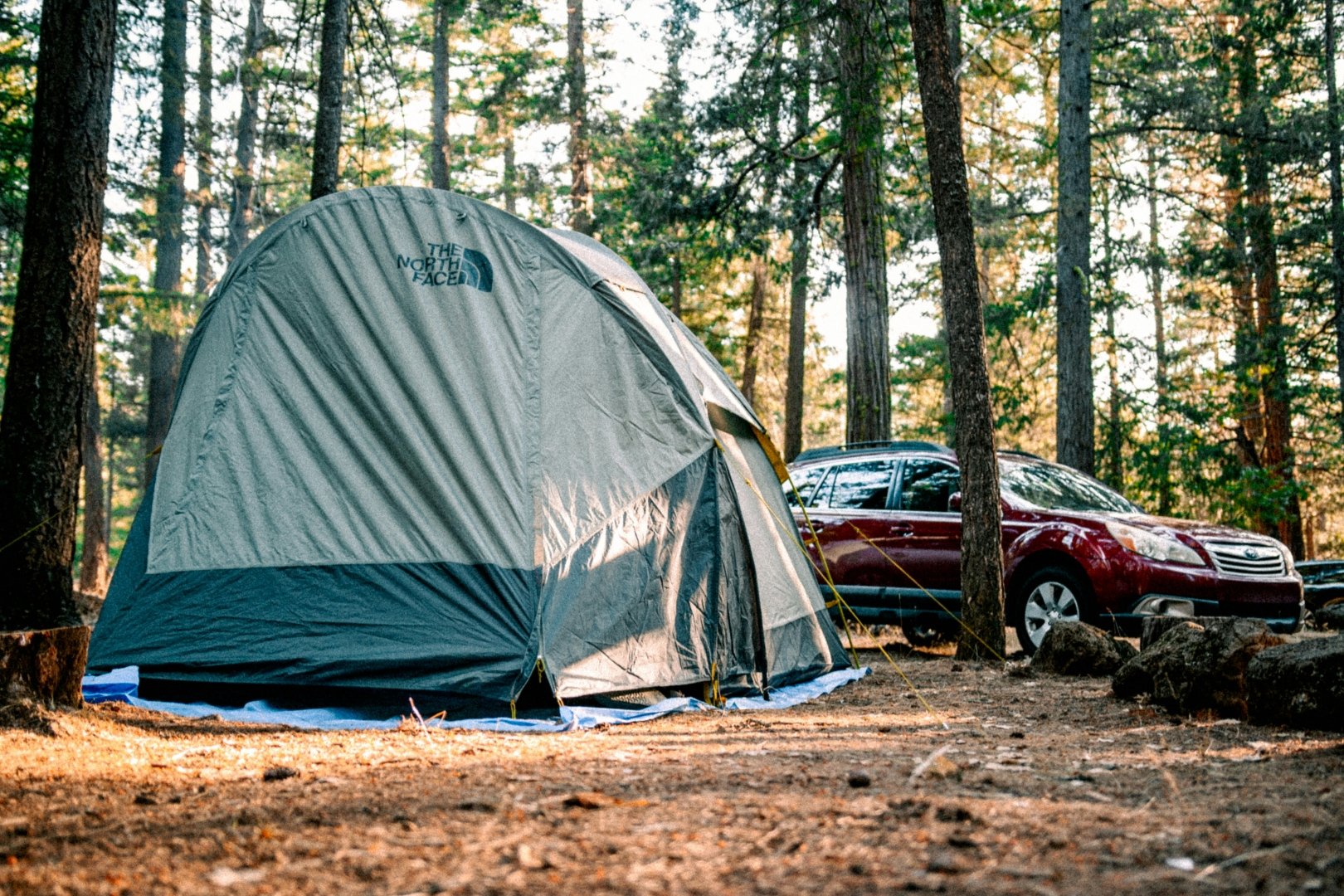 $apiData['content']['article']['title']