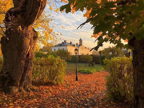 Boka Autumn coziness