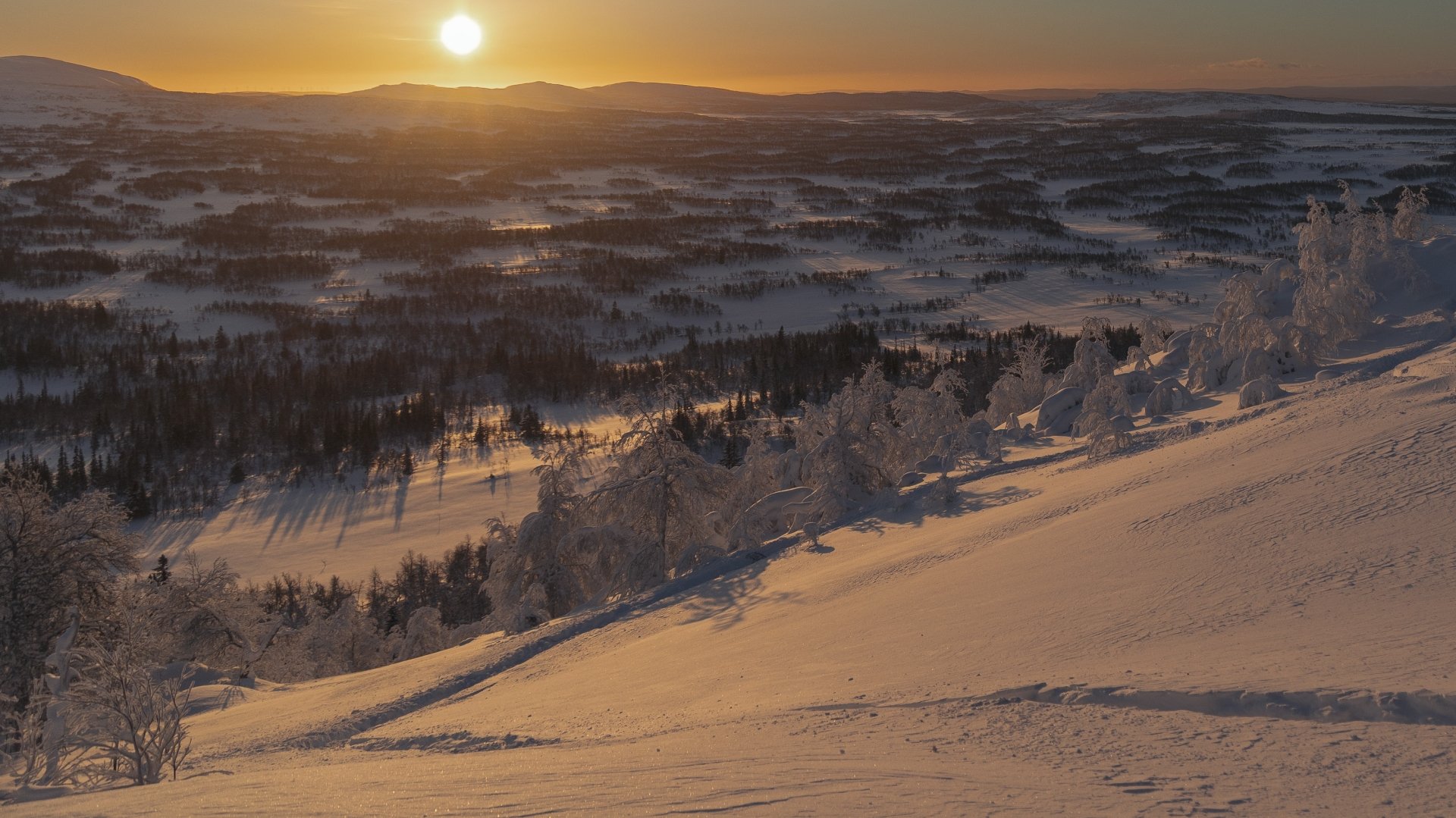 Saxnäsgården image 17