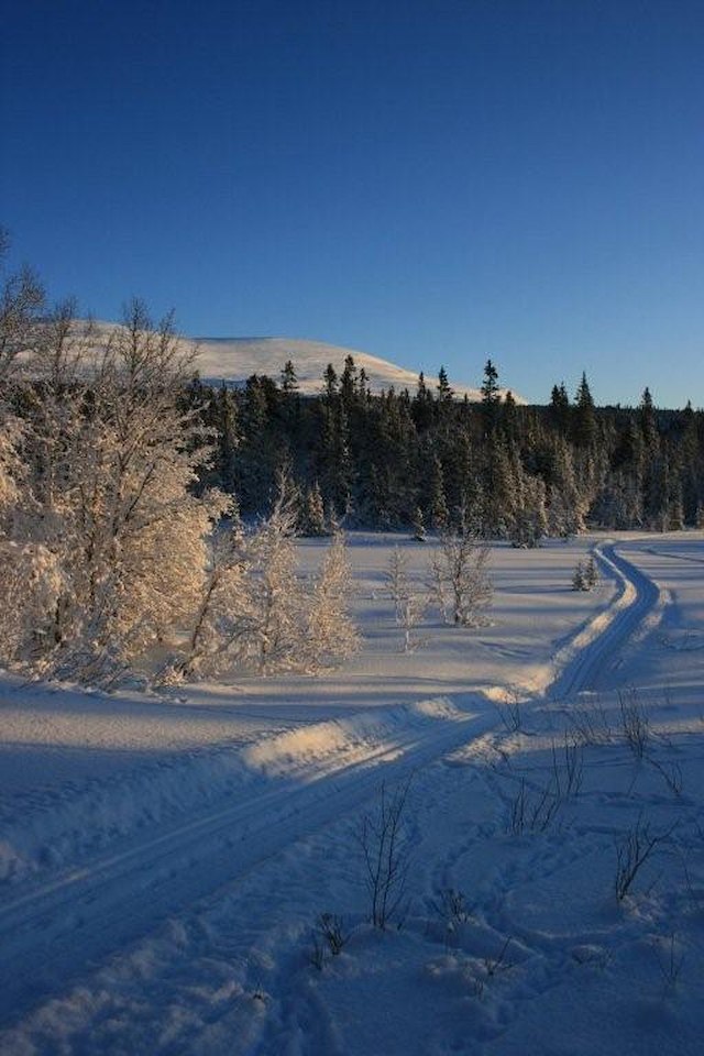 Julpaket söndag - torsdag