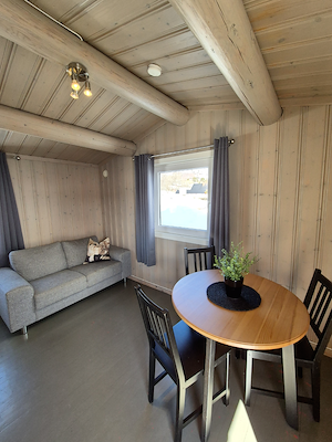 Cabin 9