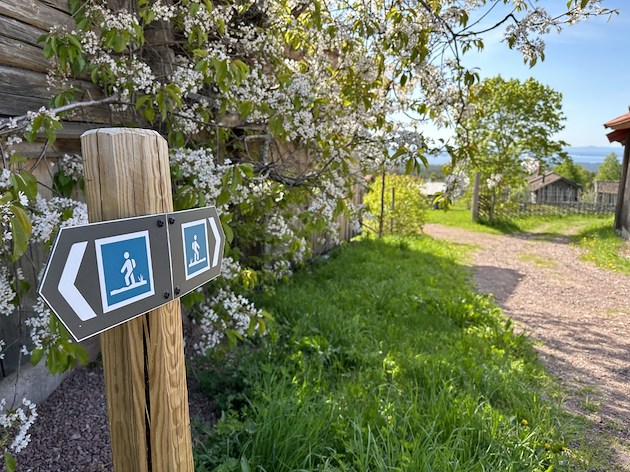 Boka Hiking holiday på Fryksås Hotell & Gestgifveri