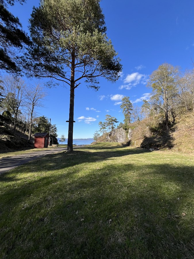 Find views, sea, and peaceful moments in Kirkebukta