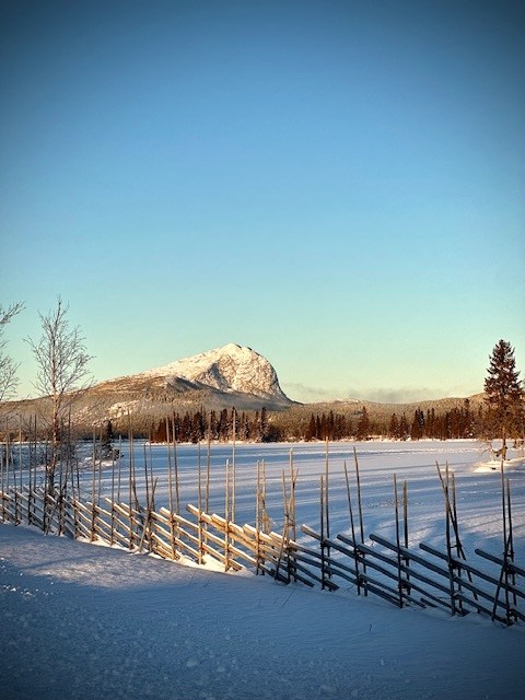 Saxnäsgården image 30