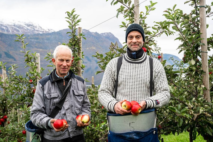 Smaken av Gloppen - Nordstranda