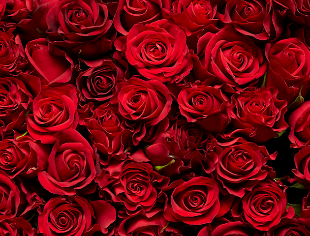 Boka A Romantic Valentine's Getaway på VILLA BRUNNBY  -  Kullahalvön  -  Skandinaviens Toscana