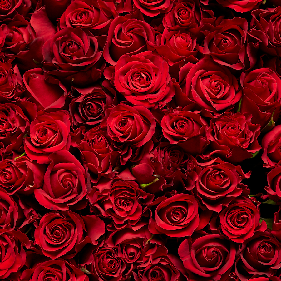 A Romantic Valentine's Getaway