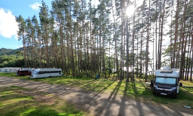 Vogner ved stranda image