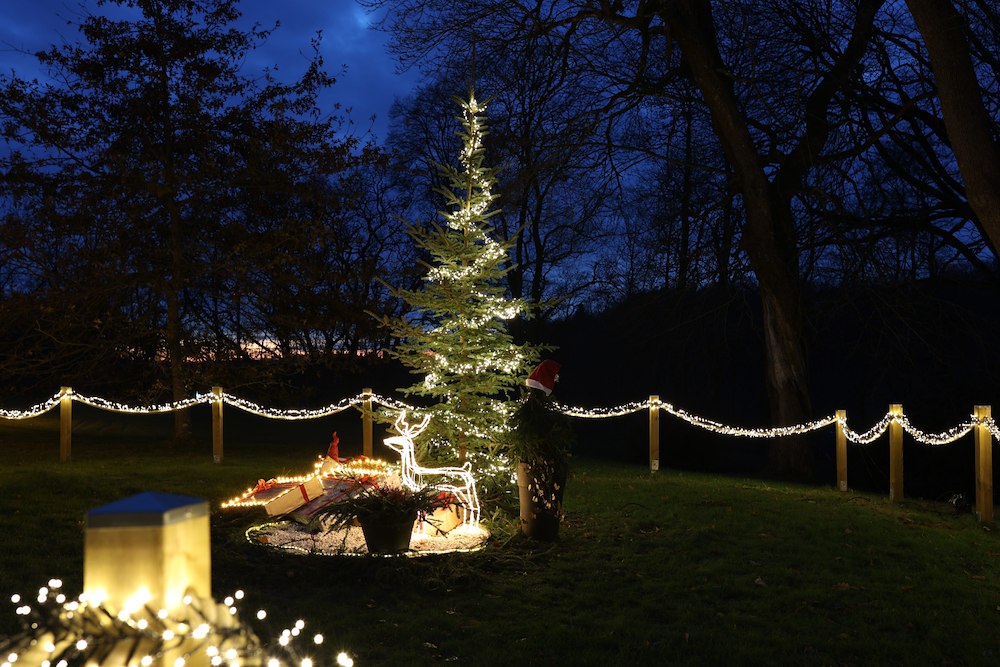 Image of Julbord med klassiker & vilt från skogen