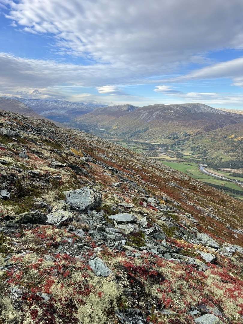 Tur- tips i nærområdet-image
