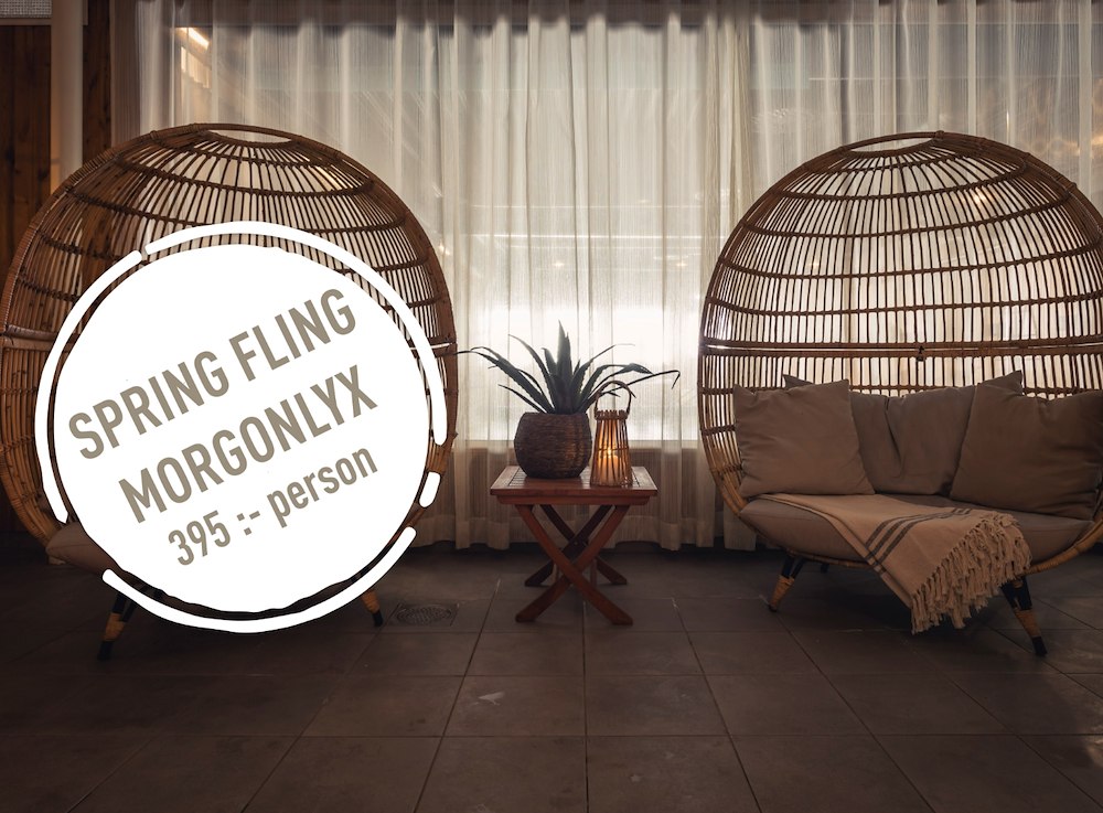 Image of SPRING FLING - MORGONLYX