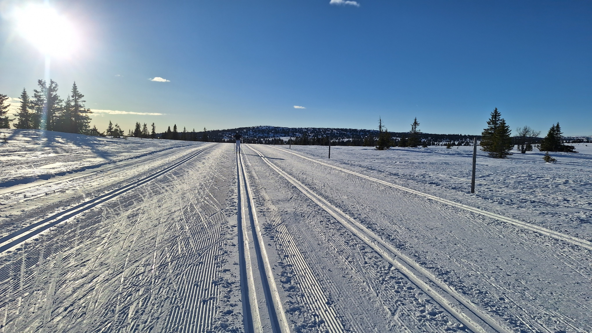 $apiData['content']['article']['title']