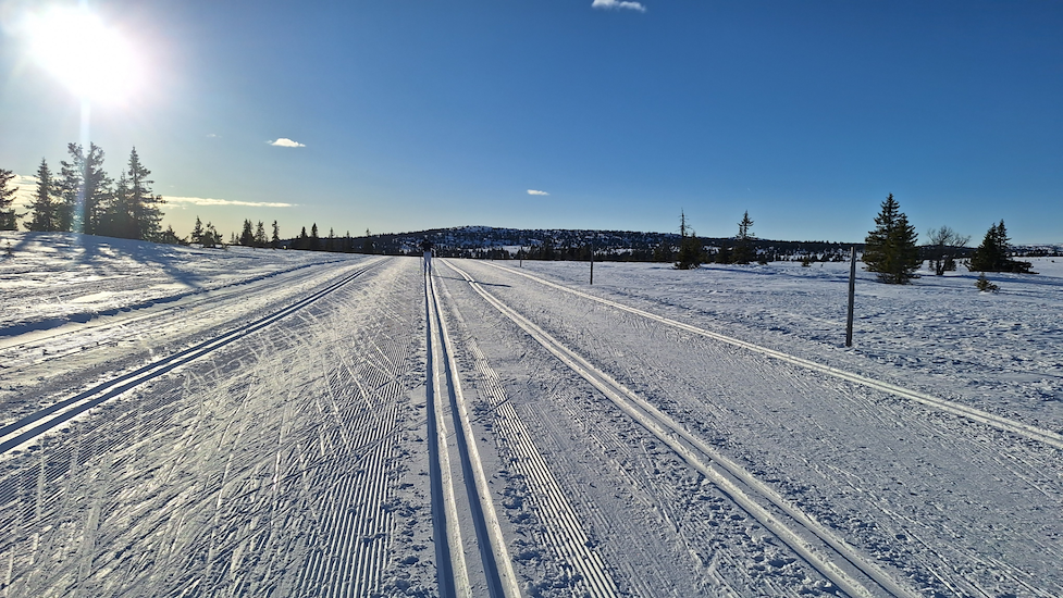 Langrenn i Lillehammer og omegn-image