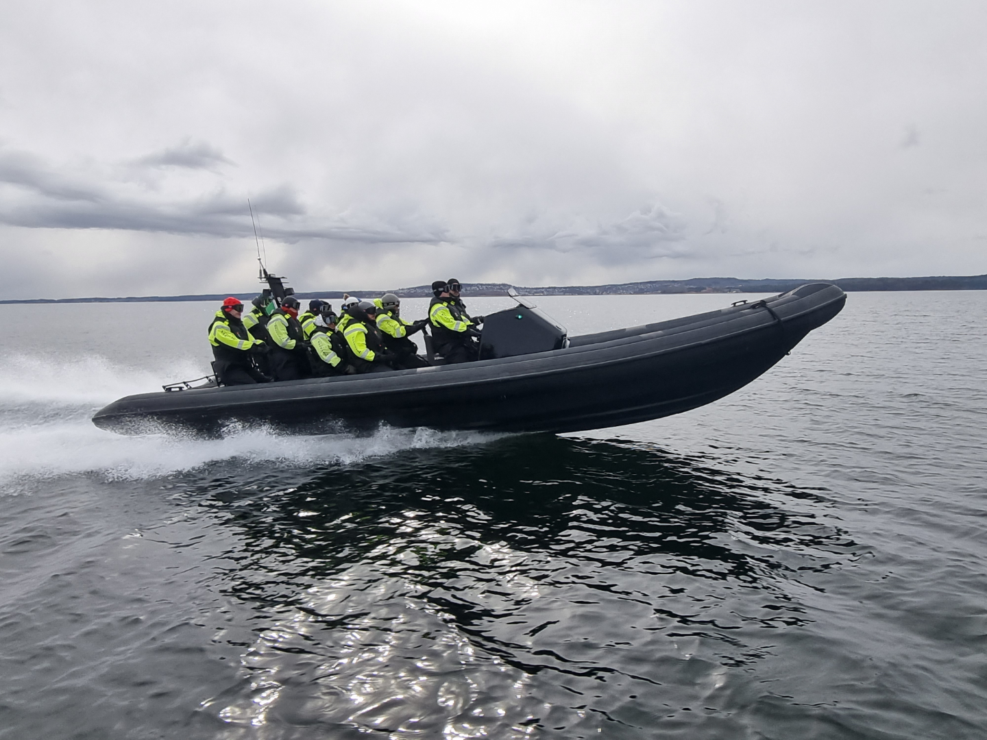 Image of RIB