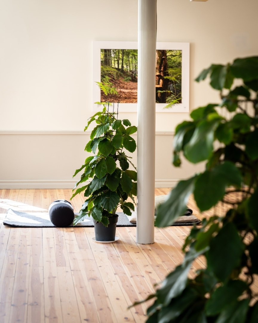 Image of Yoga & Spa - Sköna Onsdag! 