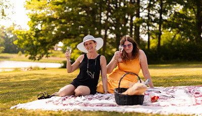 Boka Sommar på Skåvsjöholm