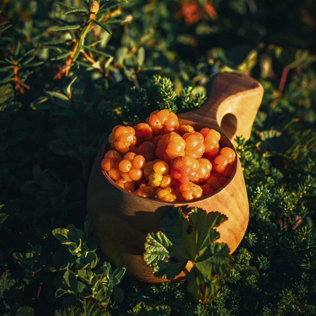 Image of Hjortron - 90 minuter