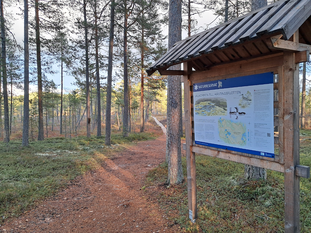 Ytterligare bild 2/8 av Vandra längs Hästängsleden