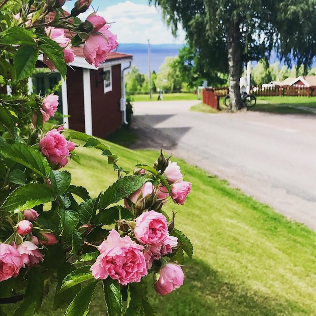 Boka Dinner package på Tällbergsgårdens Hotell