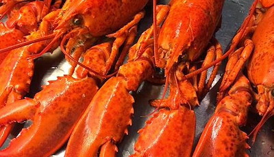 Boka Hummerlördag 3 oktober 