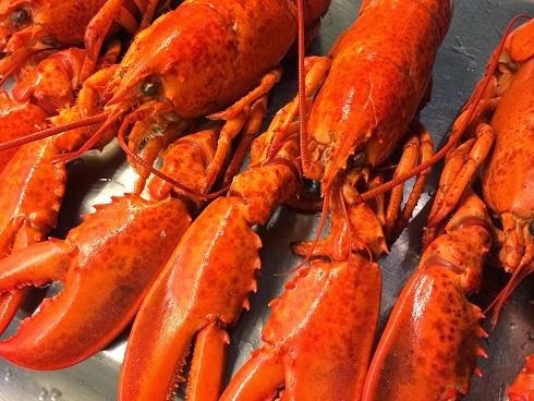 Hummerlördag 3 oktober 