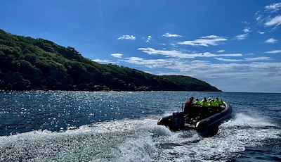 Boka Harbor Porpoise Safari by RIB Boat