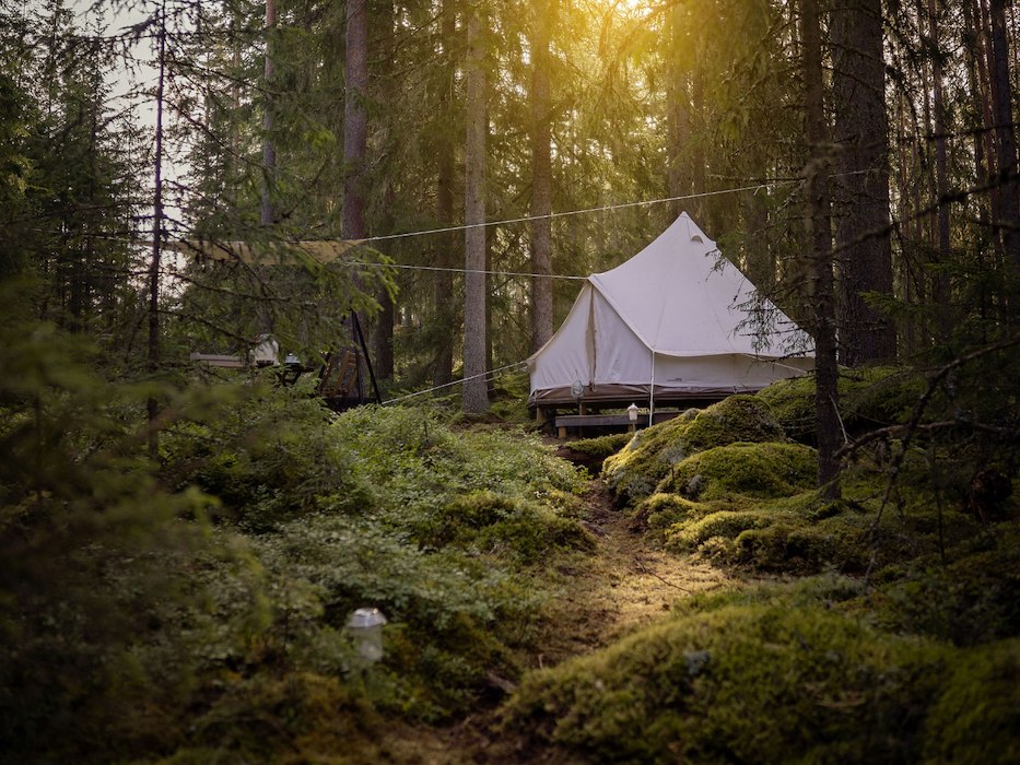 Jangenreviret, Värmland