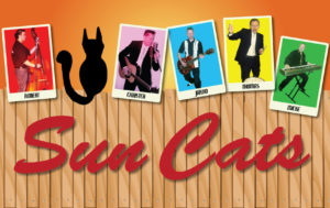 Image of 28/9 Sun Cats