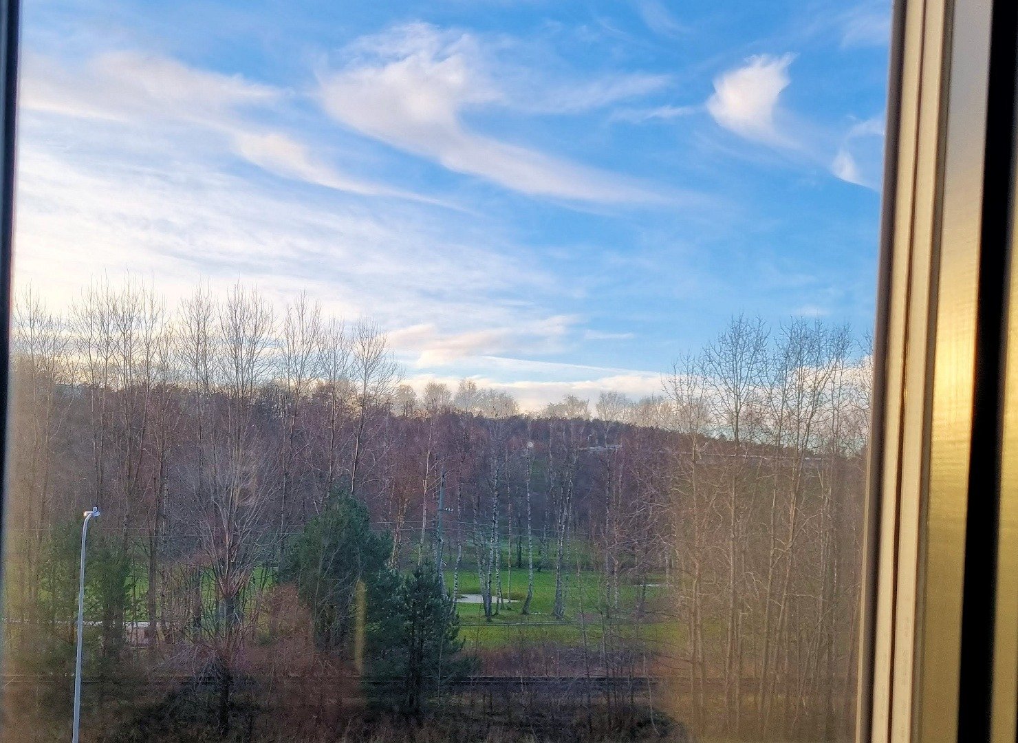 Treetop Spa, Hangout & Hotel image 7