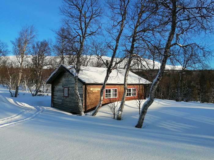 Stuga Öringen, typ A (husdjur tillåtna)