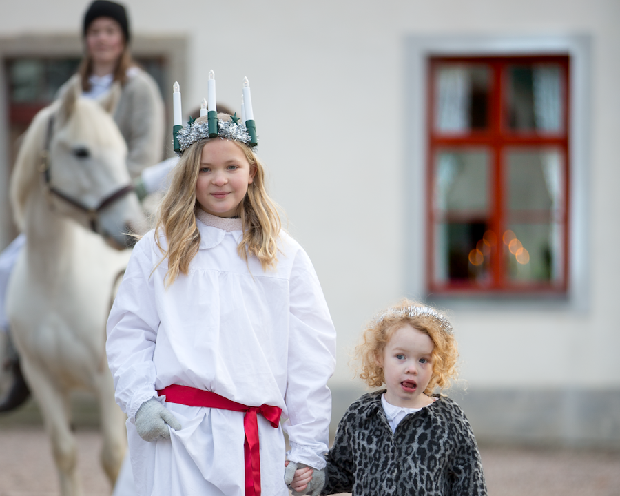 Traditionellt julbord med luciatåg